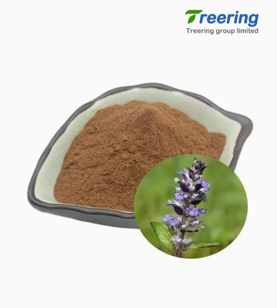 /Plant-Extracts/Ajugae-Herba-Extract-P000220.html