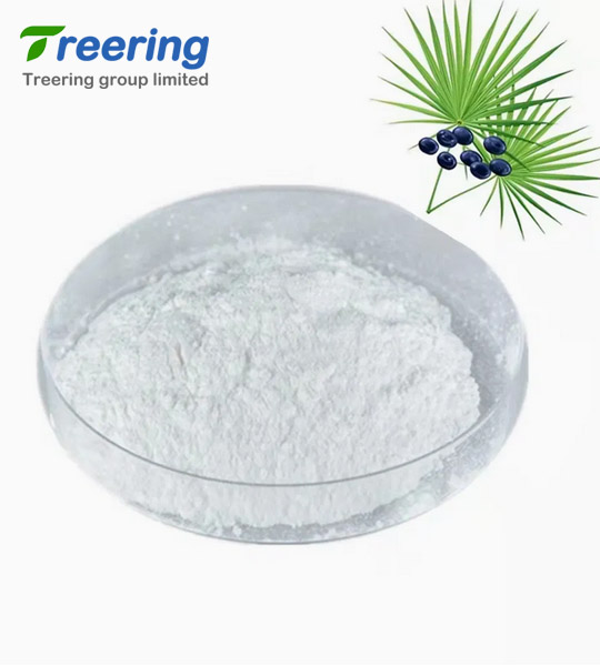 /Plant-Extracts/Saw-Palmetto-P000222.html