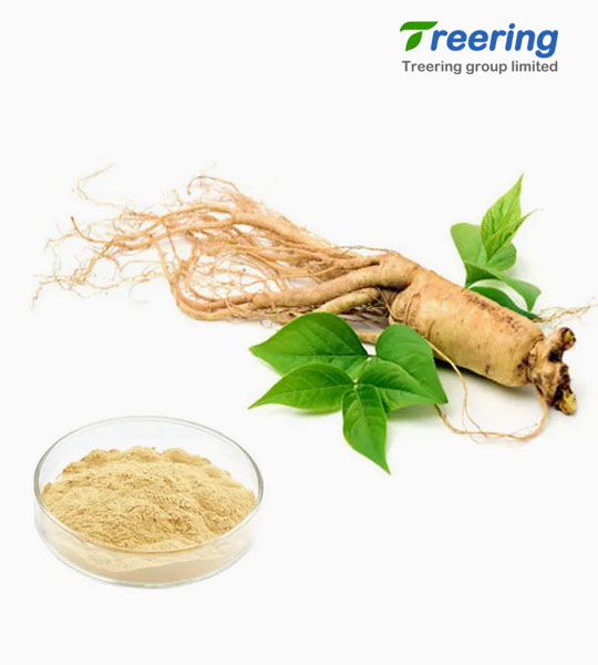 /Plant-Extracts/Panax-Ginseng-Extract-S3103.html